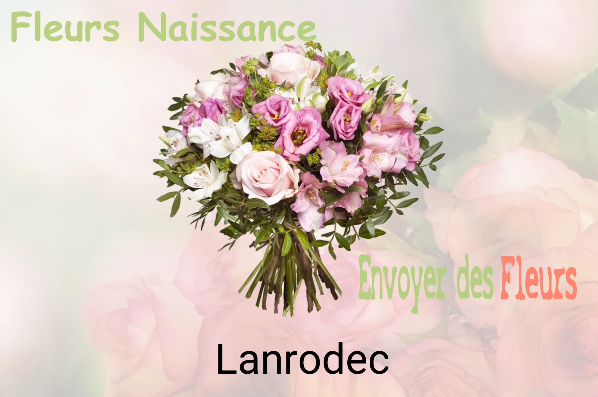 Bouquet de fleurs de naissance livré à Lanrodec